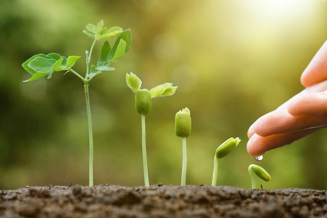 Growth & Evolution